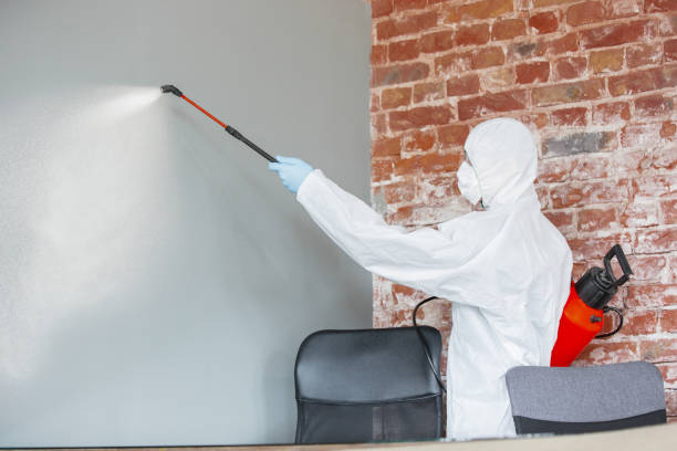 Best Crawl Space Mold Remediation  in Pleasant Grove, AL