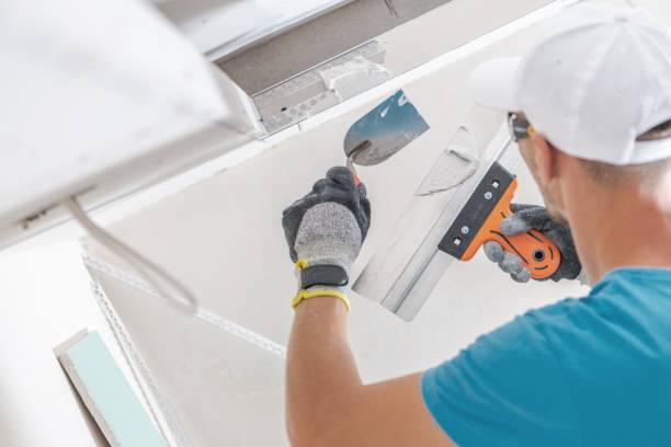 Best Mold Odor Removal Services  in Pleasant Grove, AL